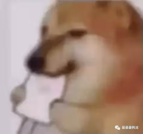 她的翻車是誰的錯?