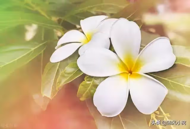 老公把我好不容易湊來的錢給了他弟買房,我要離婚,婆婆坐不住了