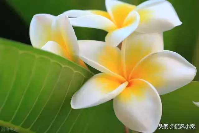 老公把我好不容易湊來的錢給了他弟買房,我要離婚,婆婆坐不住了