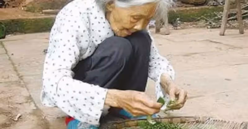 「你不願把我媽接到城裡住，就回老家給她養老」，嫂子：我離婚了