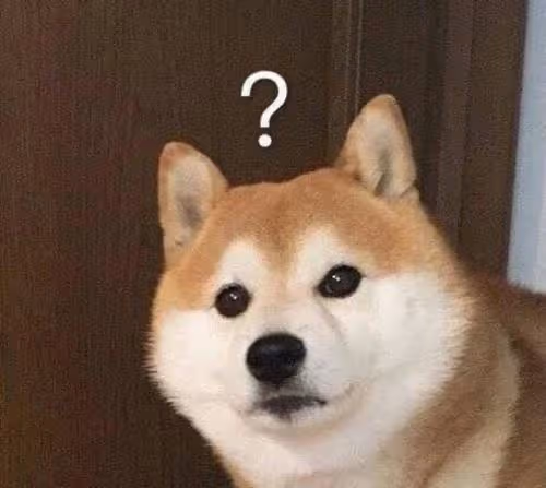 撕金晨,懟江疏影,出道12年卻年齡成謎,她活得太假?