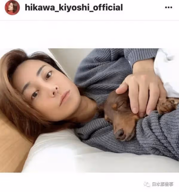 無期限突然停止活動,其實早有預兆?