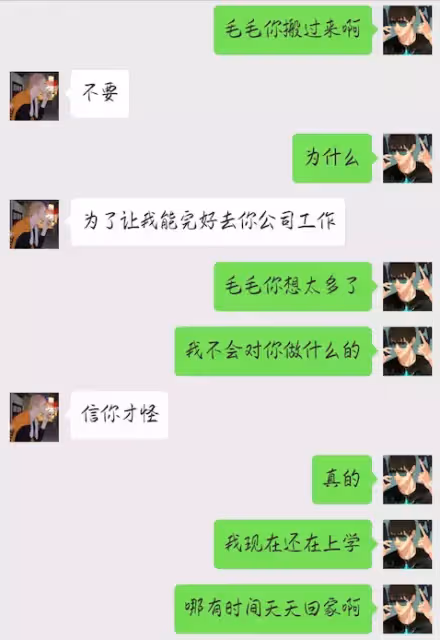 #19天 #賀紅 同人小故事之《偷手機把自己賠進去》第14話:毛毛還是掉進了賀大狗子的陷阱 日後怕是要夜夜不安生了