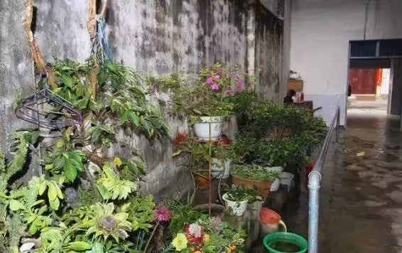 孝順女婿長照岳父12年,白天上班晚上顧3長輩,幾度累倒在工作崗位,仍無怨無悔:盡孝是我的本分