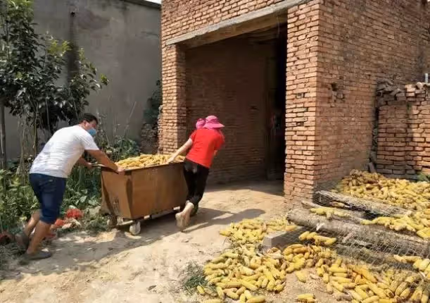 兒子上學我讓小姑子還錢,她拿掃把趕我出門,次日來人收房她傻了