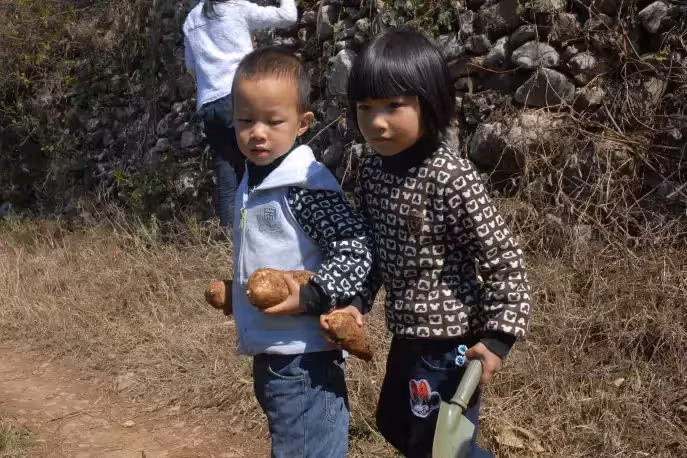 一手養大弟弟！姐姐婚後向弟弟「借2.3萬」救急 弟弟卻讓姐姐「寫欠條」回家打開一看哭了