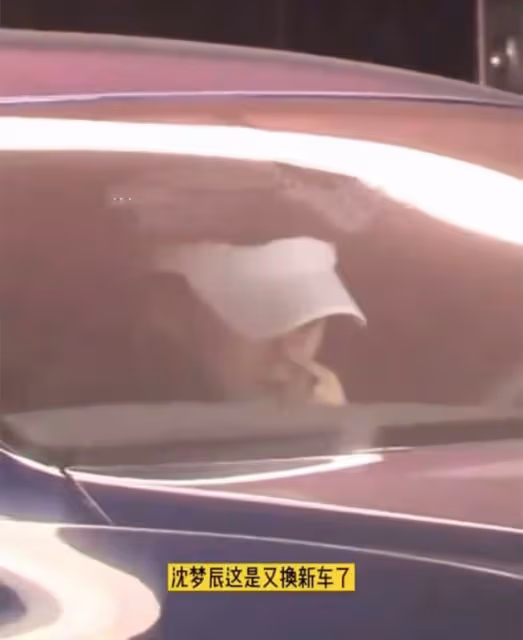 沈夢辰被批炫富!高調開300萬豪車摳鼻屎,杜海濤曾七夕送其奔馳