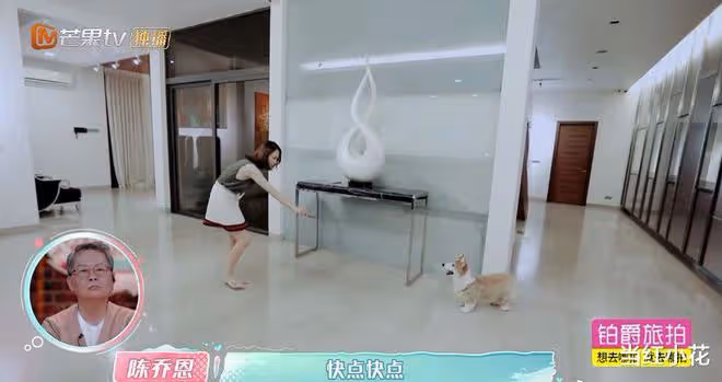 恭喜!合約情侶成婚,停工一年懷孕了!