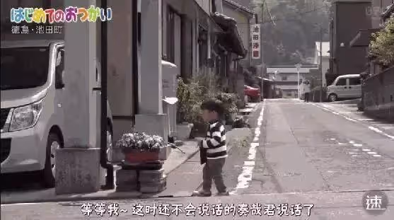 淚目!為了祭奠在天堂的爸爸,4歲的哥哥帶著2歲的弟弟坐車去買花:路很長,謝謝有你陪我