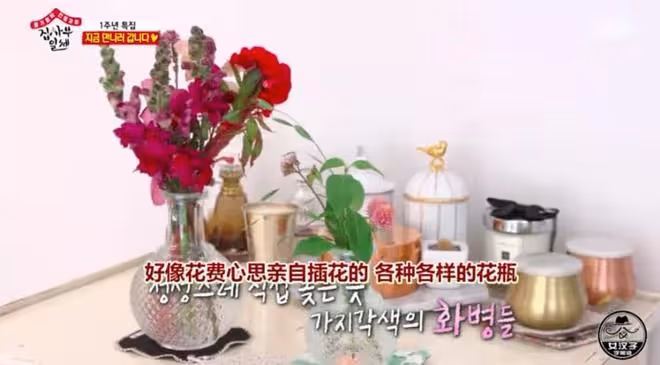 大女主的幾大特徵,不就是狠、拼、野嗎?