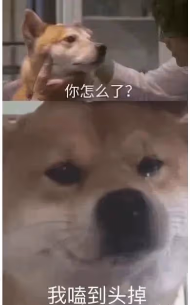 驚天大喜事!你磕的CP結婚啦!