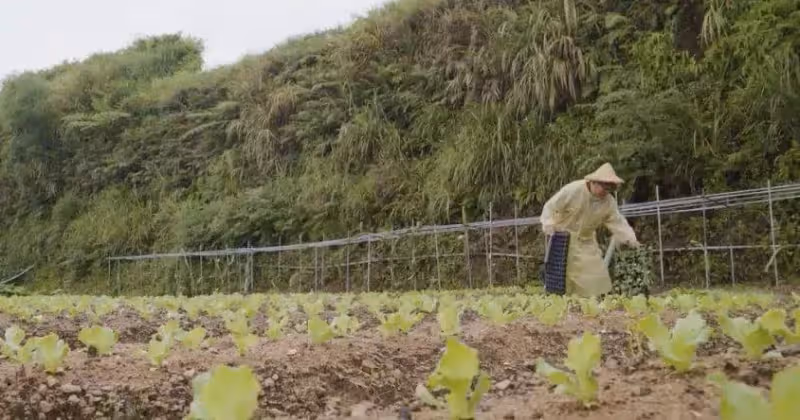 臺大教授退休後攜妻子在宜蘭深山「占山為王」一屋兩人,三餐四季,過最浪漫的餘生!