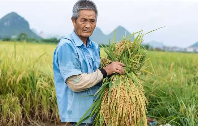 父親名下三套房產，準備過戶給女兒時，竟遭到幾個侄子反對