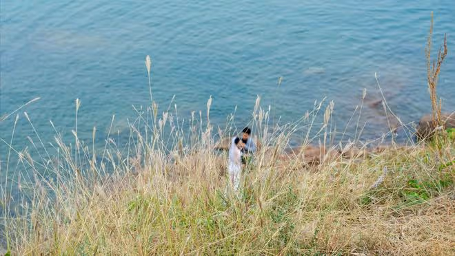 「嫂子，你憑什麼不給我媽養老」嫂子拿出一本離婚證，小姑子傻了
