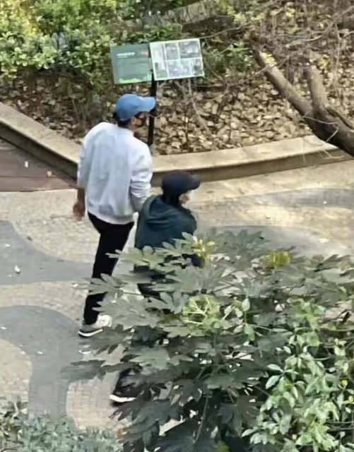 眾星的隔離生活：劉嘉玲全副武裝，彭于晏獲追捧，李立群深夜難眠