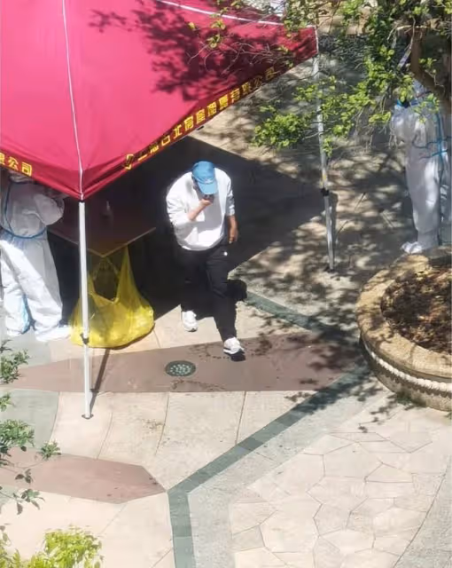 眾星的隔離生活：劉嘉玲全副武裝，彭于晏獲追捧，李立群深夜難眠