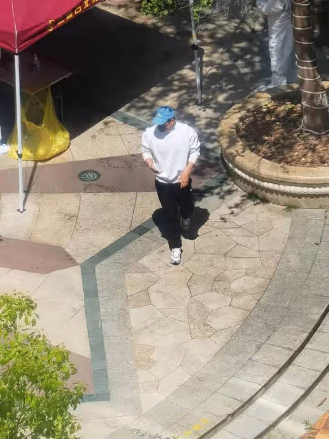 眾星的隔離生活：劉嘉玲全副武裝，彭于晏獲追捧，李立群深夜難眠