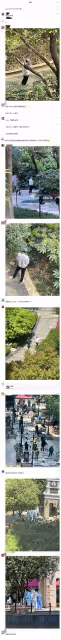 眾星的隔離生活：劉嘉玲全副武裝，彭于晏獲追捧，李立群深夜難眠