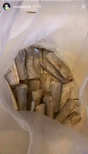 眾星的隔離生活：劉嘉玲全副武裝，彭于晏獲追捧，李立群深夜難眠