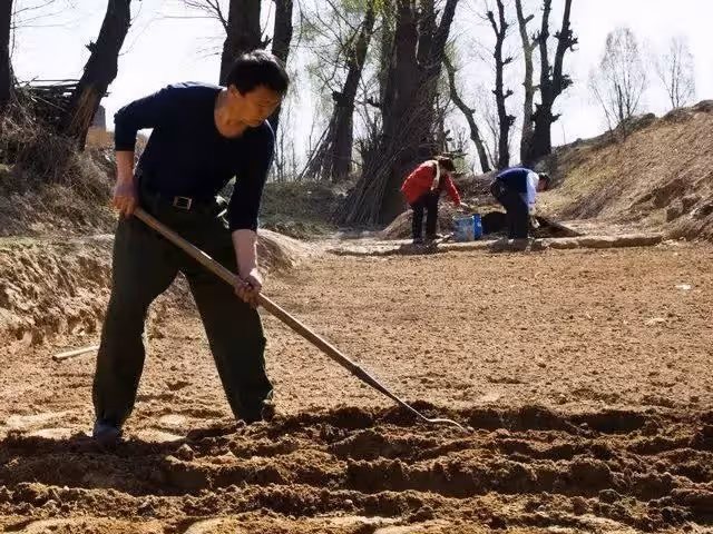 姑媽找父親借15萬，父親只能借2萬，姑媽讓我把房子抵押去貸款