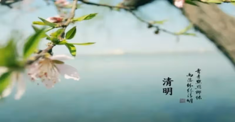 到了清明節才知道！人這一輩子：本是一場歸途　父母在「人生尚有來處」父母去「人生只剩歸期」