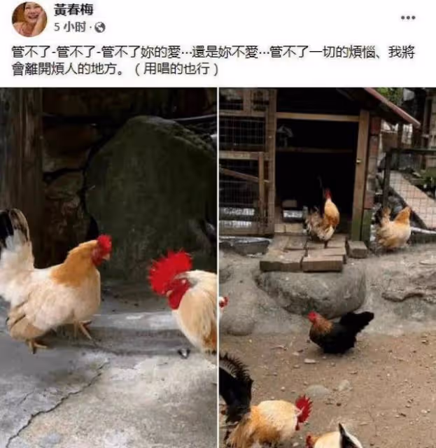 大S媽已見韓國女婿!具俊曄貼心送花當見面禮,岳母卻偏愛汪小菲