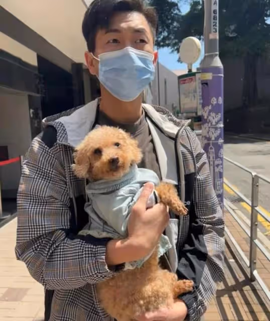 有愛！TVB上位小生街頭救下走失狗狗，成功找到主人獲贊好人好事