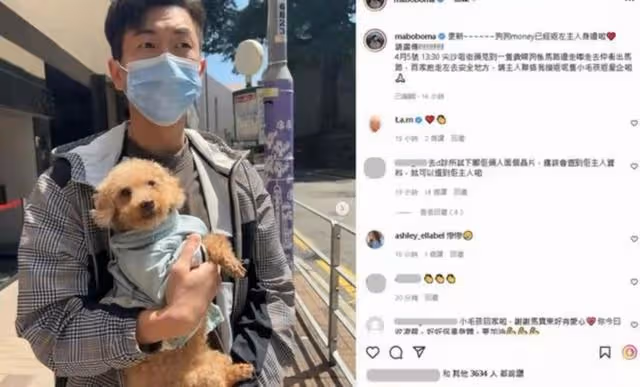 有愛！TVB上位小生街頭救下走失狗狗，成功找到主人獲贊好人好事