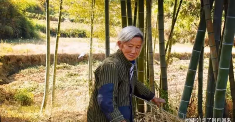 奶奶撿廢品供孫子上學，婚禮時奶奶沒去，得知原因後孫子轉頭離開