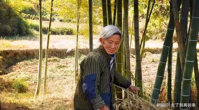 奶奶撿廢品供孫子上學，婚禮時奶奶沒去，得知原因後孫子轉頭離開