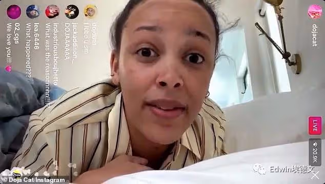 豆莢貓Doja Cat搞笑女身份實錘。