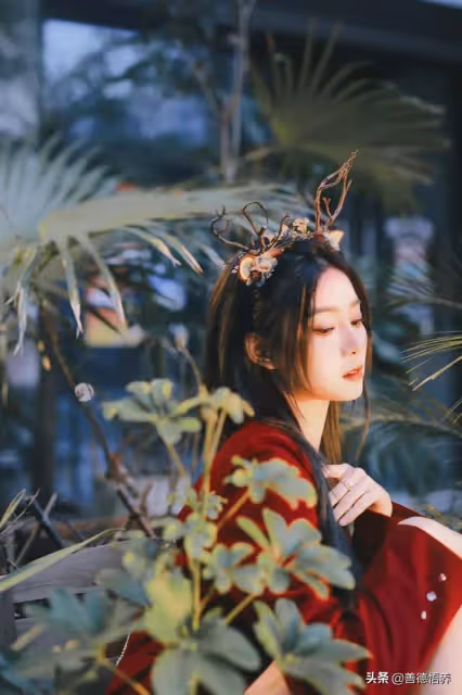 太美了!視覺盛宴!性感公主|徐藝洋叢林美艷組圖,唯美視覺