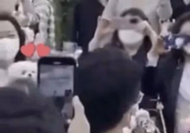 汪汪!愛犬也來看媽媽孫藝真結婚 孔曉振懷裡直盯:我有爸爸了,是玄彬