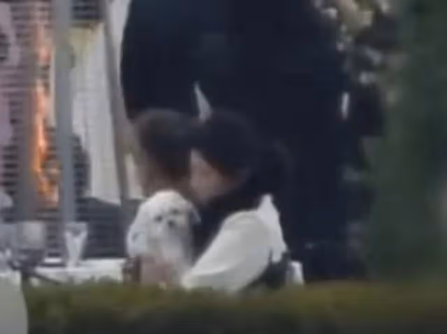 汪汪!愛犬也來看媽媽孫藝真結婚 孔曉振懷裡直盯:我有爸爸了,是玄彬
