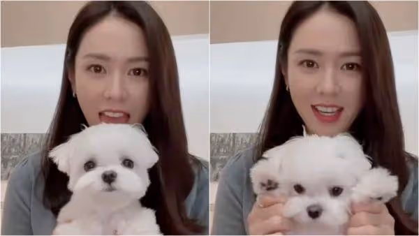 汪汪!愛犬也來看媽媽孫藝真結婚 孔曉振懷裡直盯:我有爸爸了,是玄彬