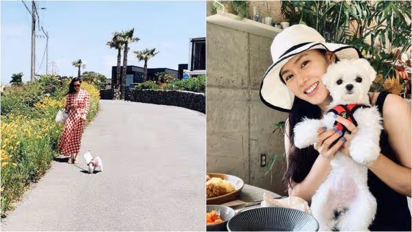汪汪!愛犬也來看媽媽孫藝真結婚 孔曉振懷裡直盯:我有爸爸了,是玄彬