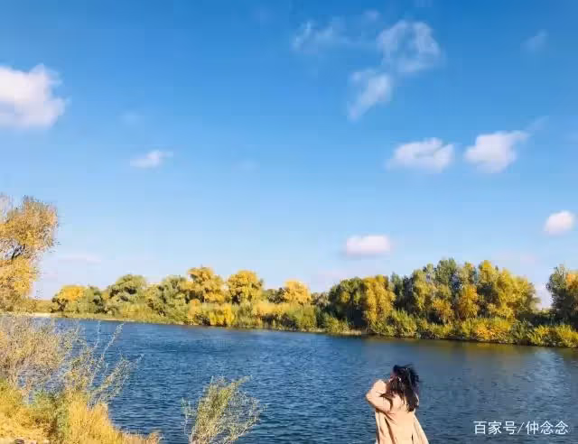 「兒子,你老婆連家務都不做,你就白養她?」「媽,別多管閒事」