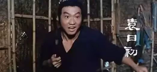 袁和平親弟弟，比甄子丹成名早，卻因顏值淪為配角，後出家當道士