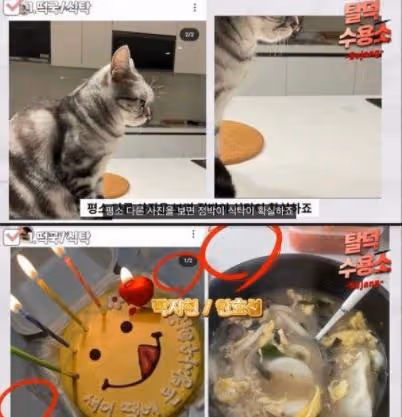 安孝燮有正牌女友,與朴智賢已戀5年?5大證據,泄漏二人甜蜜戀情