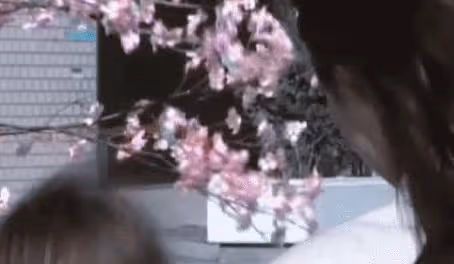 現實版爽文男主!曾紅遍亞洲的絕世美少年,如今坐擁日本偶像帝國