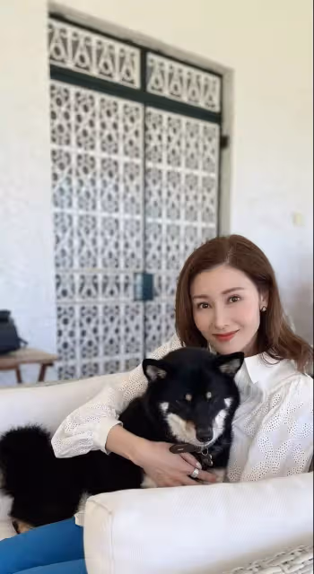 51歲李嘉欣與狗狗合照,瘦成紙片人盤腿似「麻花」,年過半百「笑容似少女」像吃了防腐劑