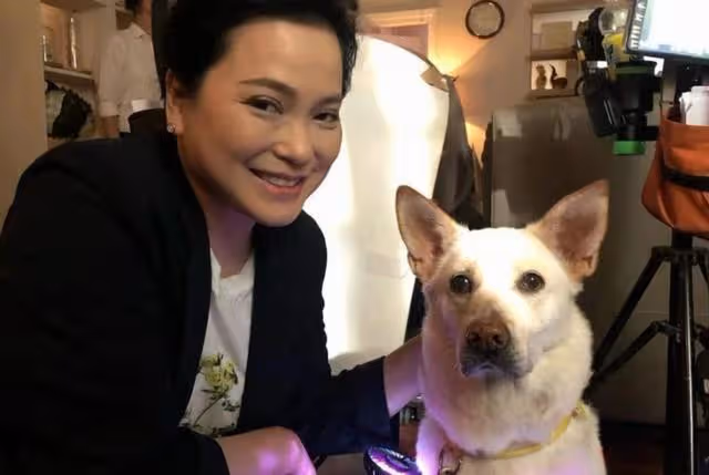 努力減肥!TVB女星因過敏性哮喘致身體腫脹,承認是人生最胖時刻
