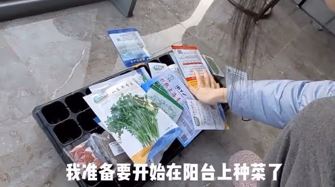 33歲苗苗宅家種菜被疑懷二胎,腹部隆起還刻意打碼,豪宅內景曝光