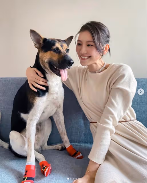 28歲港星被狗咬傷!做4次手術住院2周才出院,還因此喪失拍劇機會