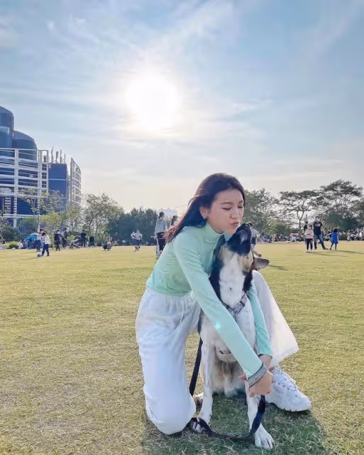 28歲港星被狗咬傷!做4次手術住院2周才出院,還因此喪失拍劇機會