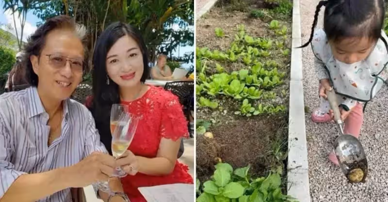 陳少霞入住新豪宅，曬自家菜園，65歲老公與3歲女兒開心摘菜，一家人樂在其中