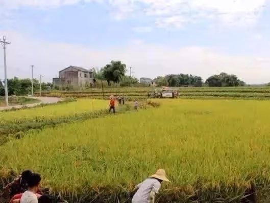 妹妹考上大學，父親賣老宅湊學費遭爺爺阻攔，如今父母回老宅養老