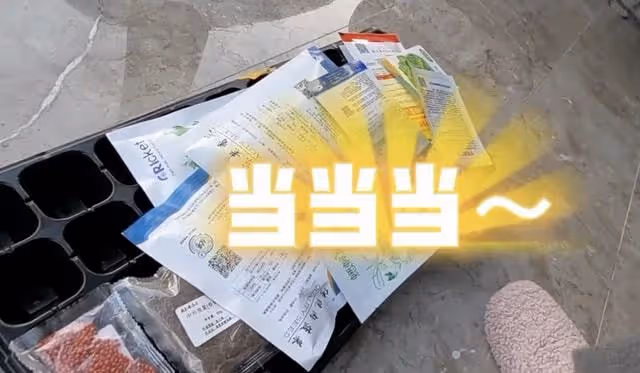 眾星的隔離日常:李立群吃剩飯,苗苗種菜,陳龍做志願者近一個月