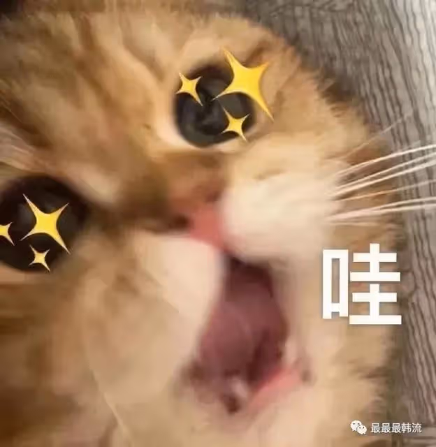 是真的不配嗎?