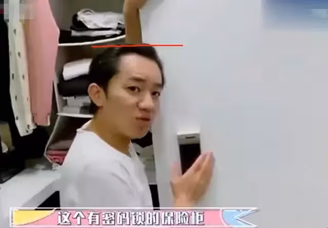王祖藍豪宅內景曝光,格調優雅藏心機,巨型保險櫃比他本人還高